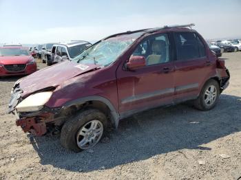  Salvage Honda Crv