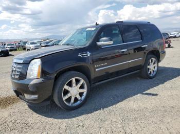  Salvage Cadillac Escalade