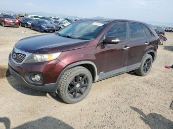  Salvage Kia Sorento