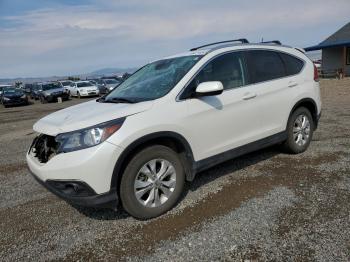  Salvage Honda Crv