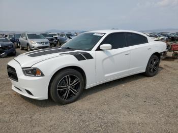  Salvage Dodge Charger