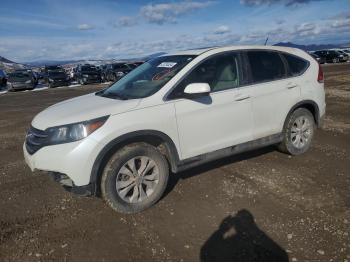  Salvage Honda Crv