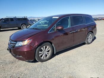  Salvage Honda Odyssey