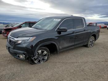  Salvage Honda Ridgeline