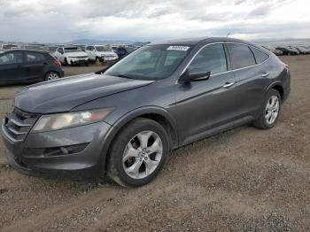  Salvage Honda Crosstour