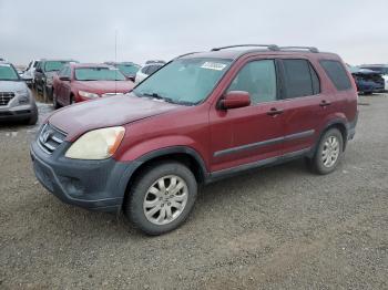  Salvage Honda Crv