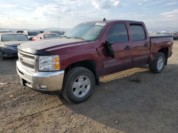  Salvage Chevrolet Silverado