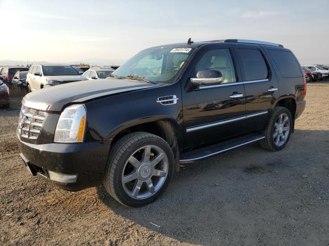  Salvage Cadillac Escalade