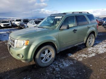  Salvage Ford Escape