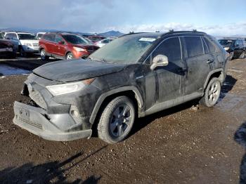  Salvage Toyota RAV4