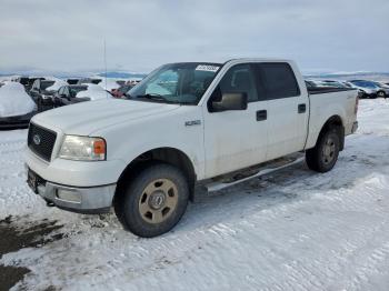  Salvage Ford F-150