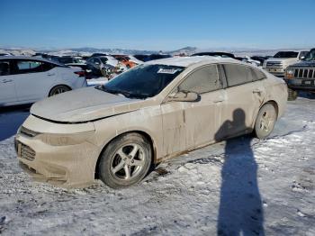  Salvage Chevrolet Malibu