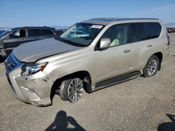  Salvage Lexus Gx