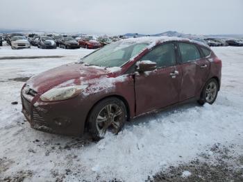  Salvage Ford Focus