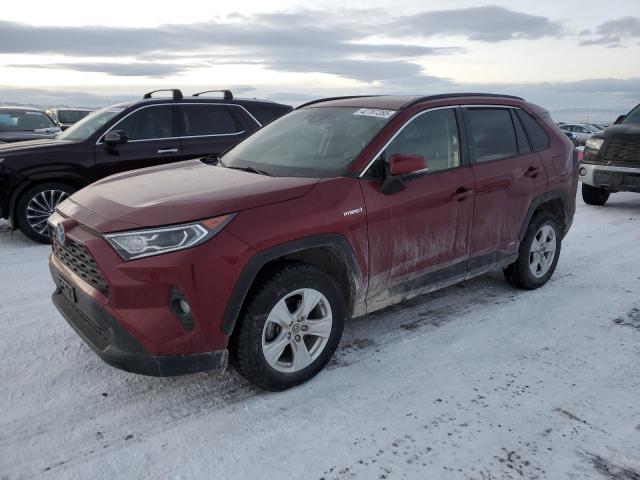  Salvage Toyota RAV4