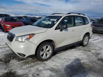  Salvage Subaru Forester