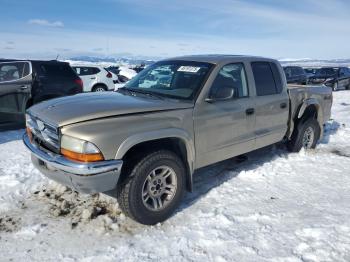  Salvage Dodge Dakota