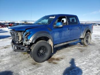  Salvage Ford F-150