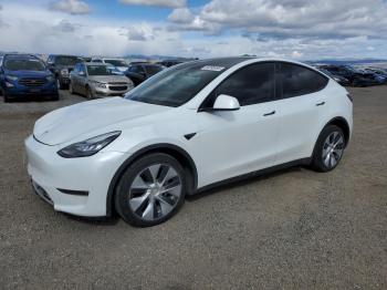  Salvage Tesla Model Y