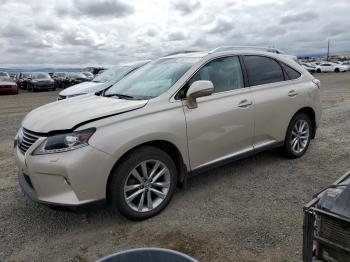  Salvage Lexus RX