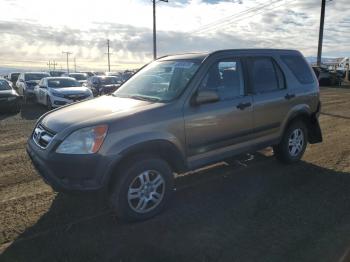  Salvage Honda Crv