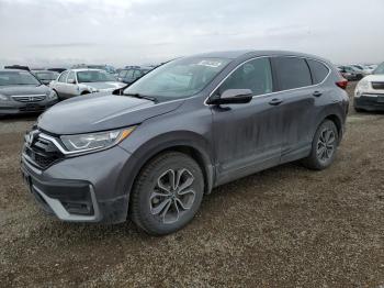  Salvage Honda Crv