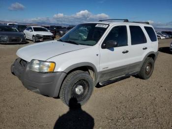  Salvage Ford Escape