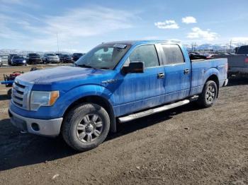  Salvage Ford F-150