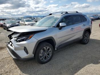 Salvage Toyota RAV4