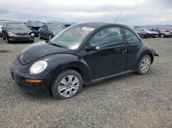  Salvage Volkswagen Beetle