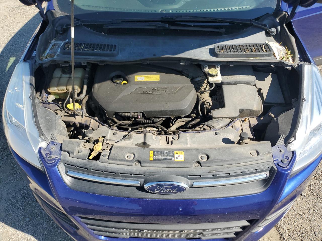 Ford Escape Se Image 10