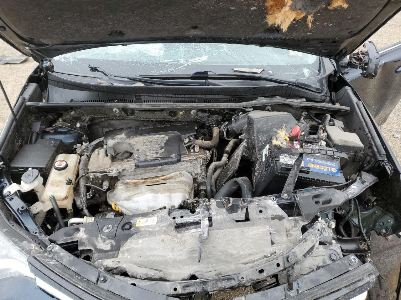 Toyota RAV4 Le Image 12