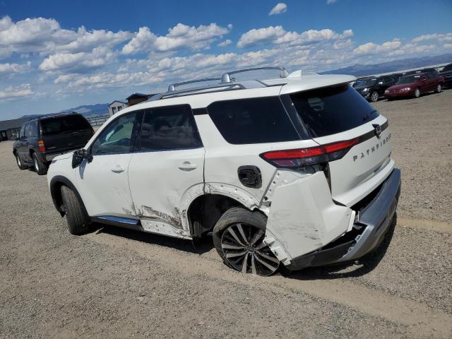 Nissan Pathfinder Platinum Image 2