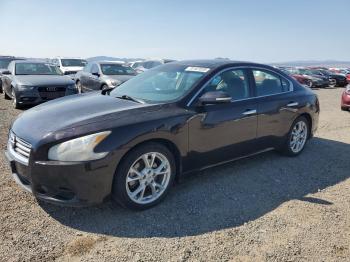  Salvage Nissan Maxima