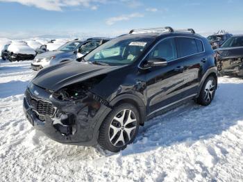  Salvage Kia Sportage