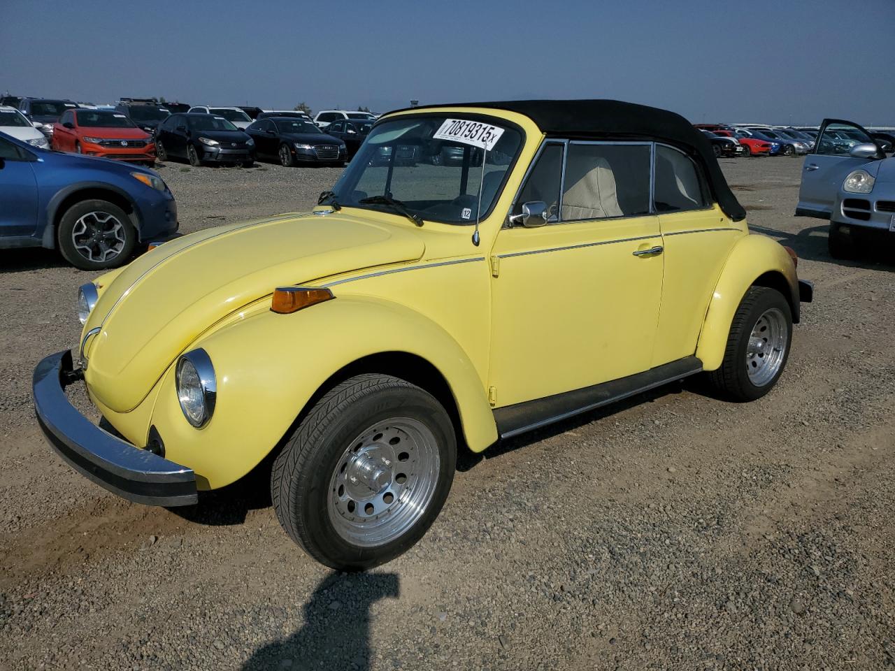 Volkswagen Beetle Image 1