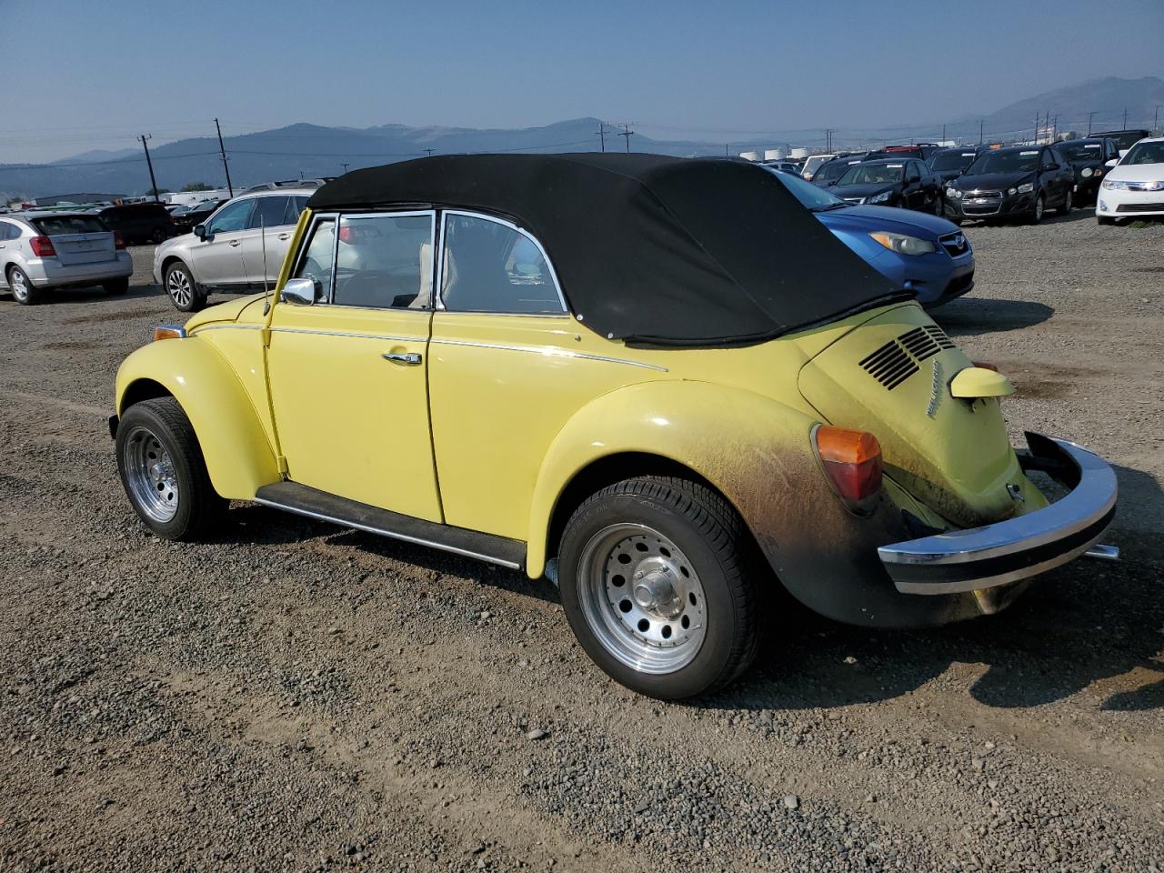 Volkswagen Beetle Image 10