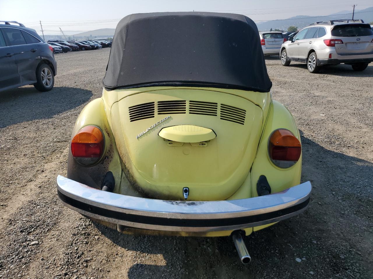 Volkswagen Beetle Image 9