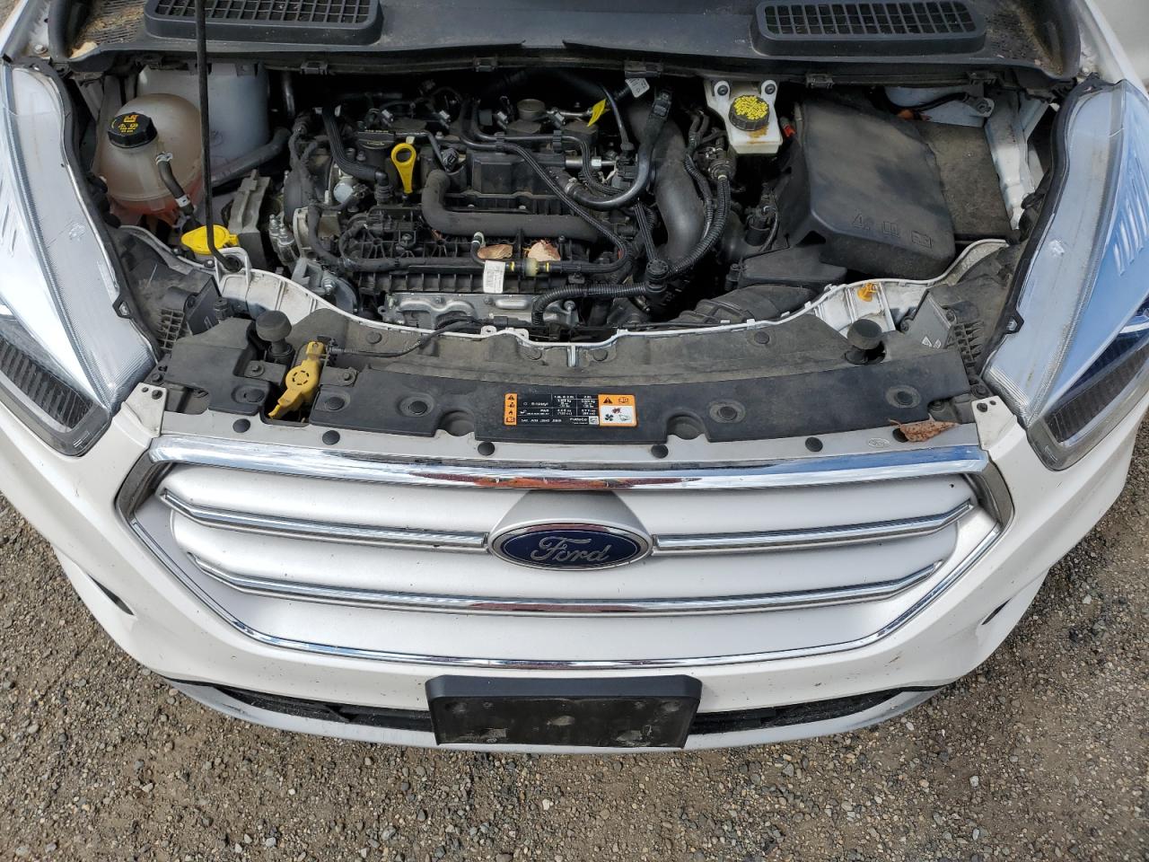 Ford Escape Sel Image 11