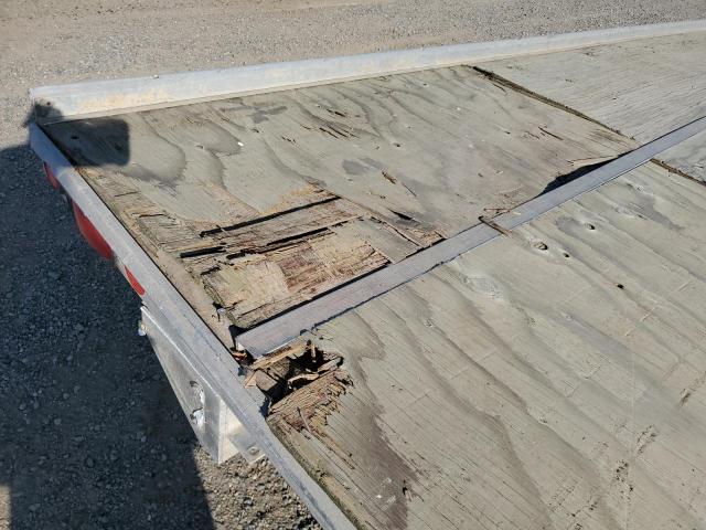 Newman Other Image 9