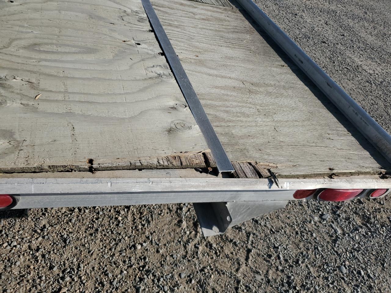 Newman Other Image 4