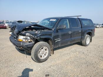  Salvage Dodge Dakota