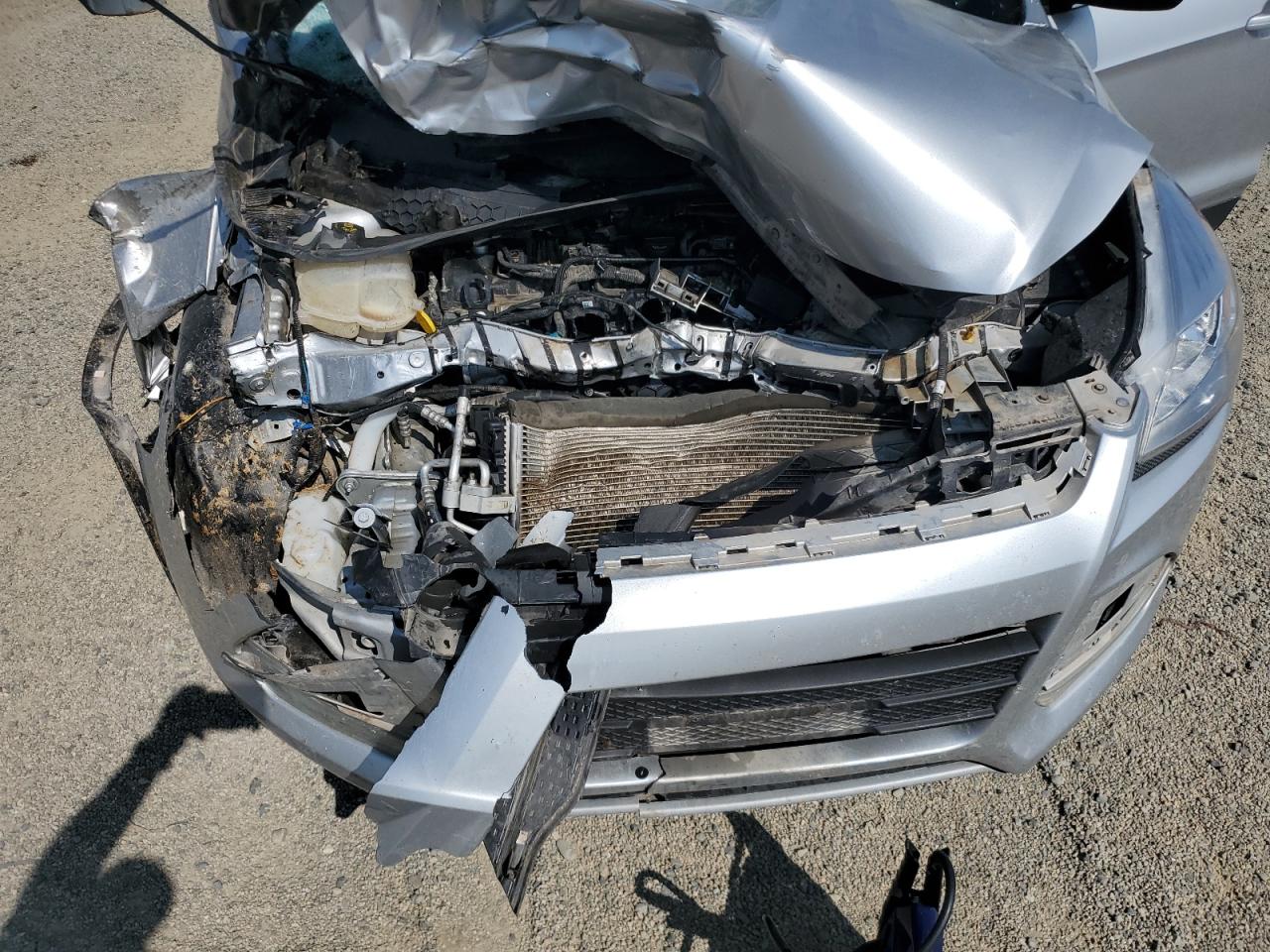 Ford Escape Se Image 10