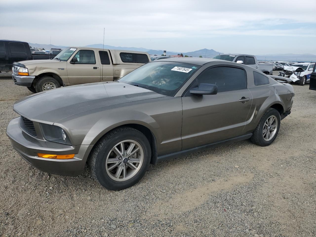 Ford Mustang Image 1