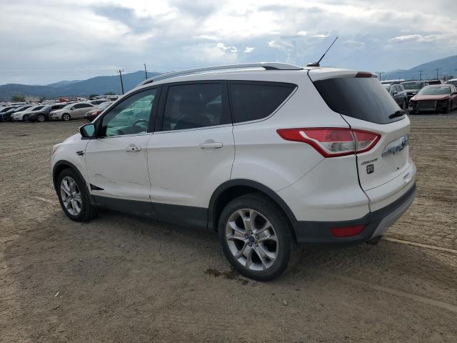 Ford Escape Titanium Image 3