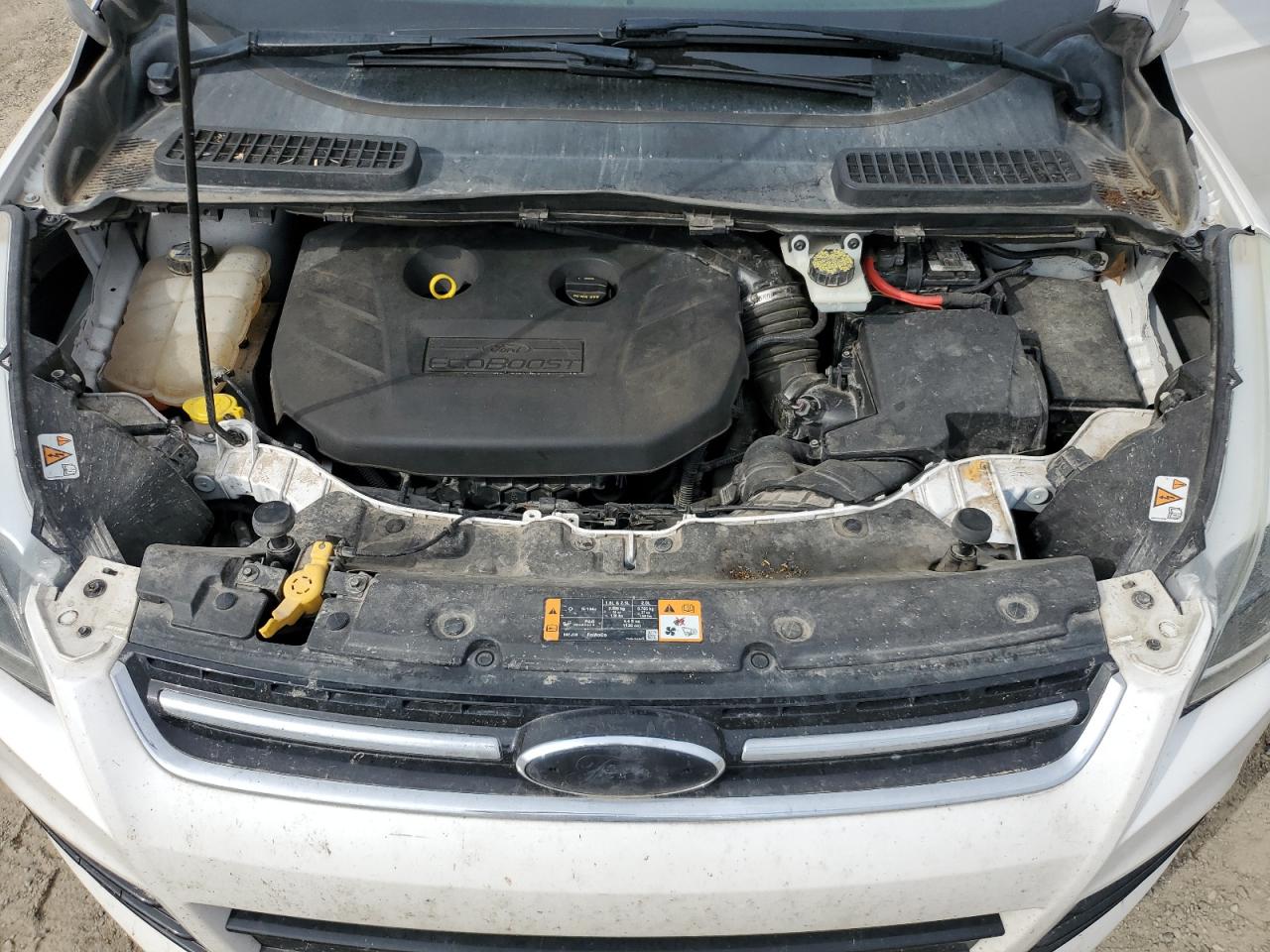 Ford Escape Titanium Image 9