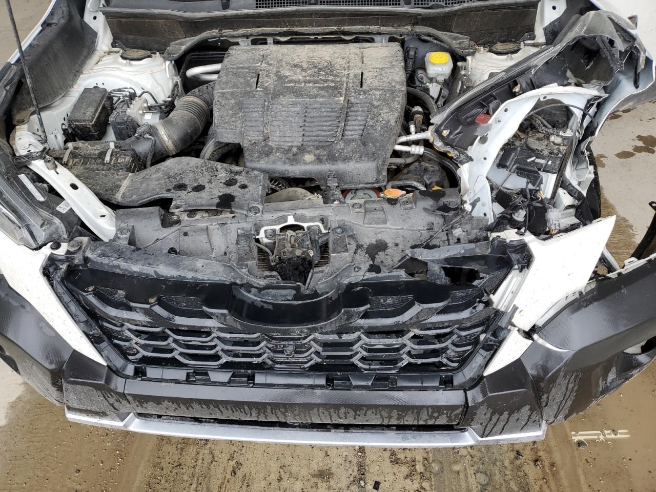 Subaru Forester Wilderness Image 10