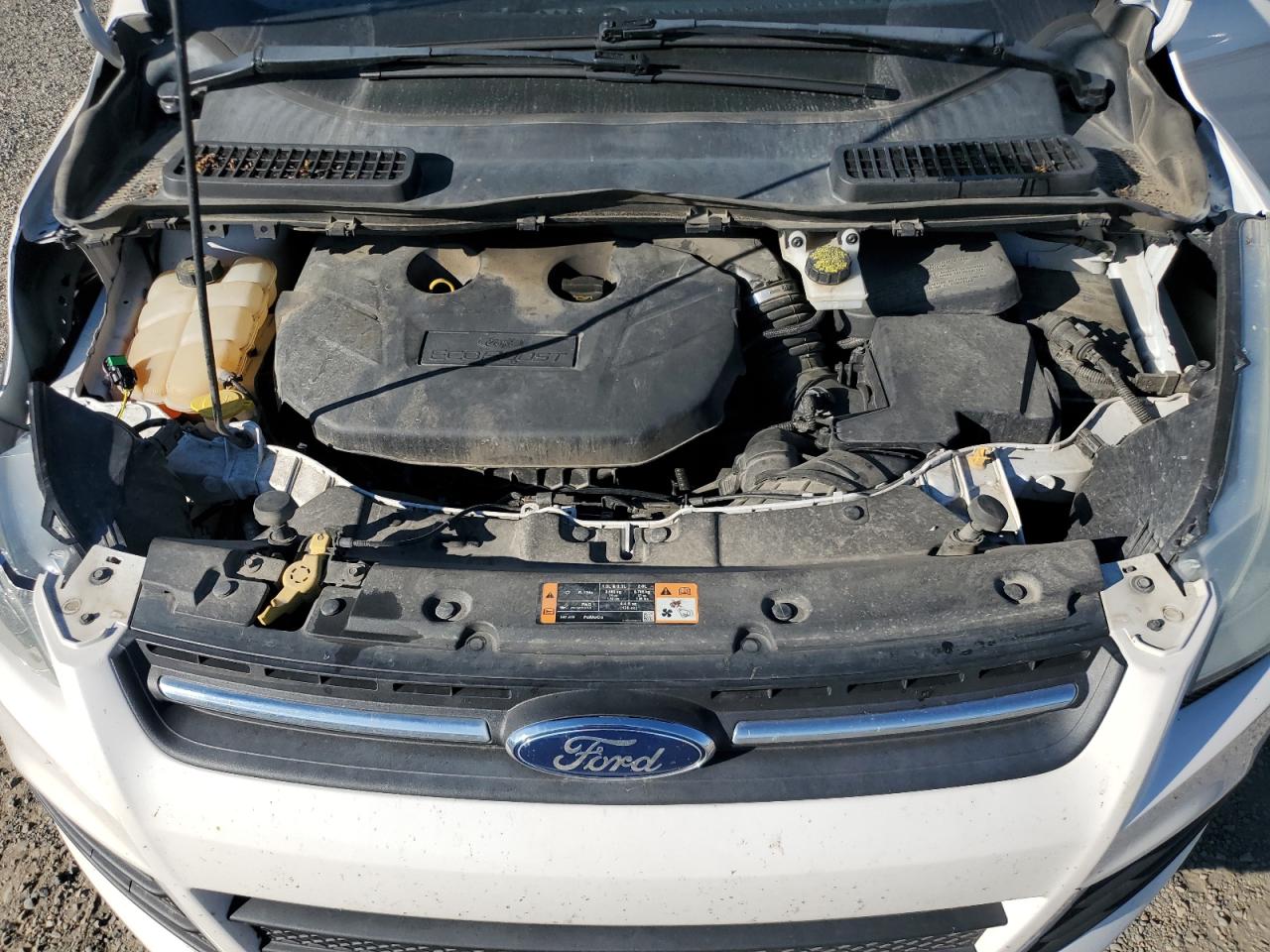 Ford Escape Se Image 11