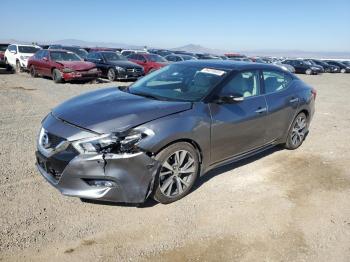  Salvage Nissan Maxima
