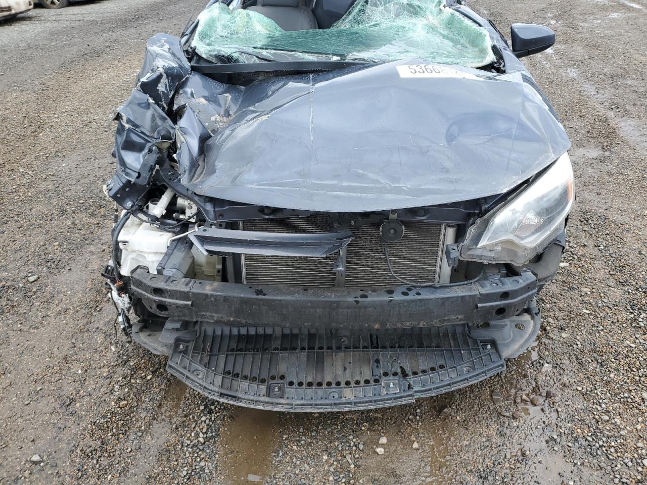 Toyota Corolla L Image 7